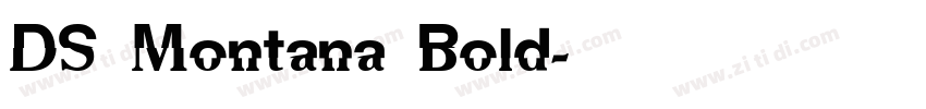 DS Montana Bold字体转换